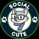 Social Cute