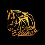 SoloEquinos ® Caballos Horses