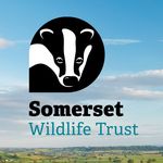 Somerset Wildlife Trust