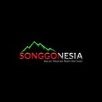 Songgonesia