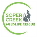 Soper Creek Wildlife Rescue 🇨🇦