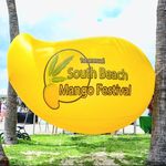 South Beach Mango Festival 🍋