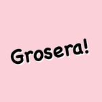 Grosera