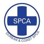 Durban & Coast SPCA