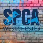 SPCA Westchester