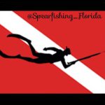 Florida Spearfishing