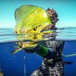 S P E A R P R O Spearfishing