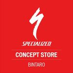 Specialized Bintaro