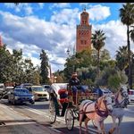 Marrakech City Ⓜ️