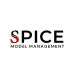 SPICE MODEL MANAGEMENT