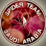 Spider Team MMA