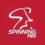 ＳＰＩＮＮＩＮＧ ＰＺＯ