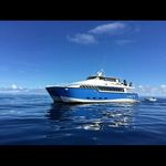 Sport Fishing PNG