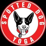 Spotted Dog Yoga & SUP Shop