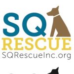 SQ Rescue