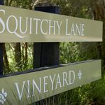 Squitchy Lane Vineyard