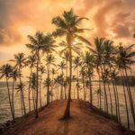 Explore Beaches of Sri Lanka