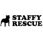 Staffy Rescue