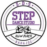 StepDance Studio