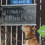 Stonehaven Kennels Calgary