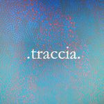 .traccia.