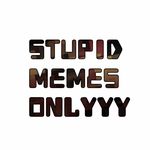 stupid memes