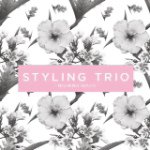 Styling Trio
