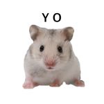 よぅさん／YO🐭