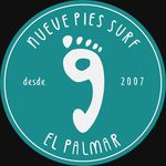 9 PIES • Surf school