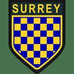 Surrey (PWRR) ACF Bn
