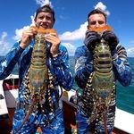 Swimming North Spearfishing