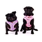 2-in-1 HARNESSES & COLLARS