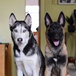 Takoda and Bane