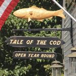 Tale of the Cod