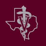 Texas A&M Veterinary Medicine