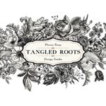 TANGLED ROOTS FLOWER FARM