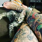 Tattoos and Cats