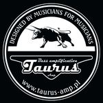 Taurus Amplification