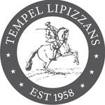 Tempel Lipizzans