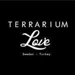 Terrarium Love