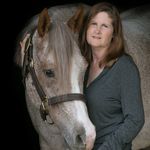 N TX  Equine & SR Photographer