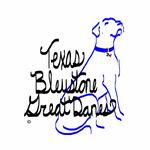 Texas Bleustone Great Danes