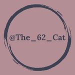 Louie | The 62 Cat