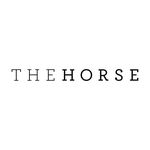 The Horse