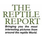 The Reptile Report