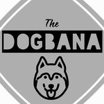 The Dogbana 🐶