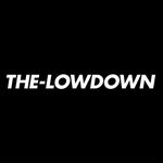 THE-LOWDOWN Store