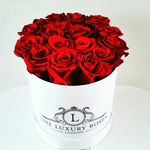 The Luxury Roses of London