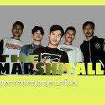 TheMarshitsallProject_Official