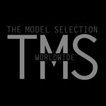 Themodel Selection